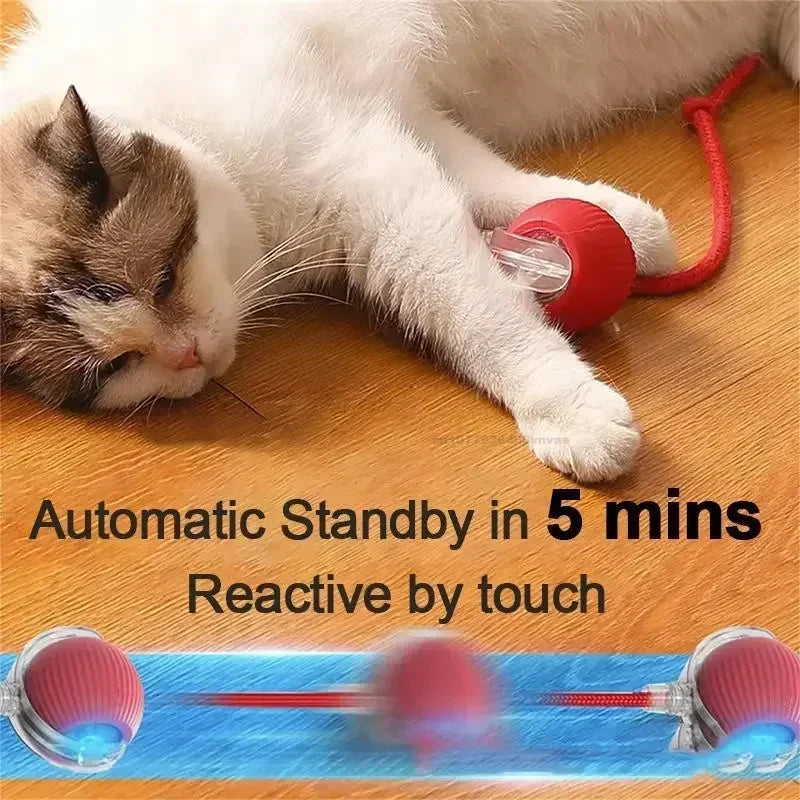 Cat Toys for Cats Ball Dog Toy Ball Electronic Interactive Pet Toy USB Automatic Moving Bouncing for Puppy Cat Products