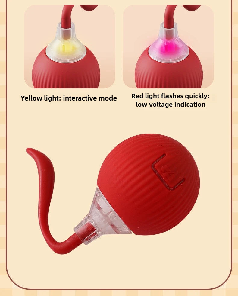 Cat Toys for Cats Ball Dog Toy Ball Electronic Interactive Pet Toy USB Automatic Moving Bouncing for Puppy Cat Products