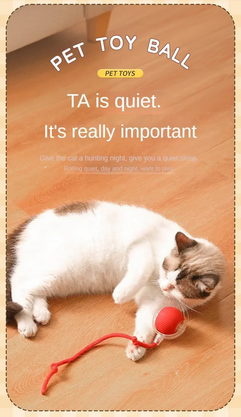 Cat Toys for Cats Ball Dog Toy Ball Electronic Interactive Pet Toy USB Automatic Moving Bouncing for Puppy Cat Products