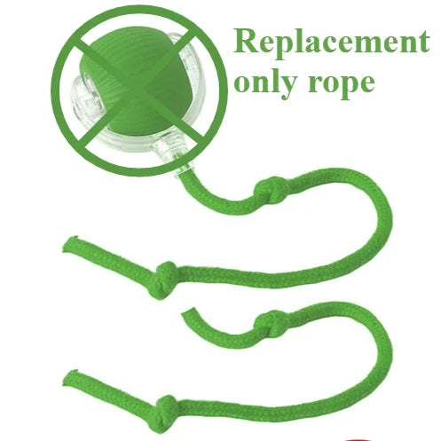 Cat Toys for Cats Ball Dog Toy Ball Electronic Interactive Pet Toy USB Automatic Moving Bouncing for Puppy Cat Products