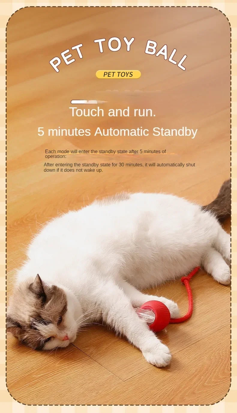 Cat Toys for Cats Ball Dog Toy Ball Electronic Interactive Pet Toy USB Automatic Moving Bouncing for Puppy Cat Products
